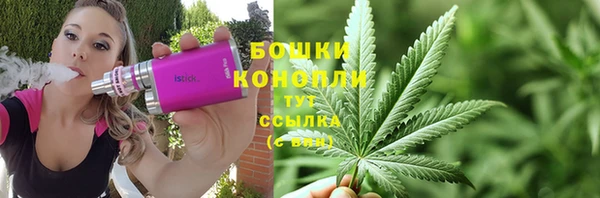 мдпв Горно-Алтайск