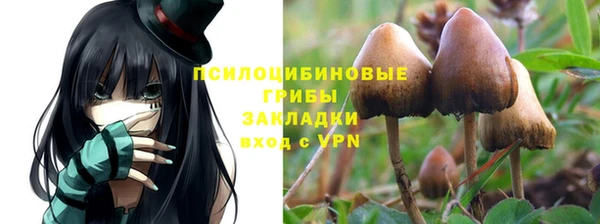 мдпв Горно-Алтайск
