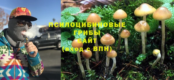 мдпв Горно-Алтайск
