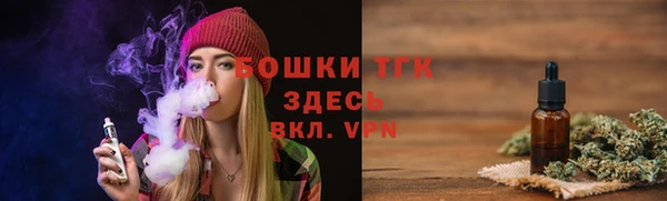 мдпв Горно-Алтайск