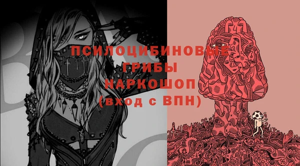 PSILOCYBIN Вяземский