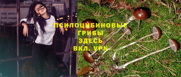 мескалин Горняк