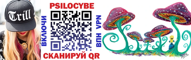Псилоцибиновые грибы прущие грибы  Чердынь 